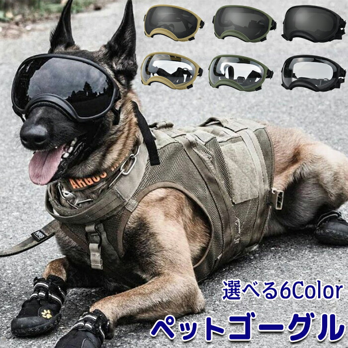 REXSPECS V2 犬用 ゴーグル Sサイズ 小型犬用 黒 レンズ2枚付 【公式
