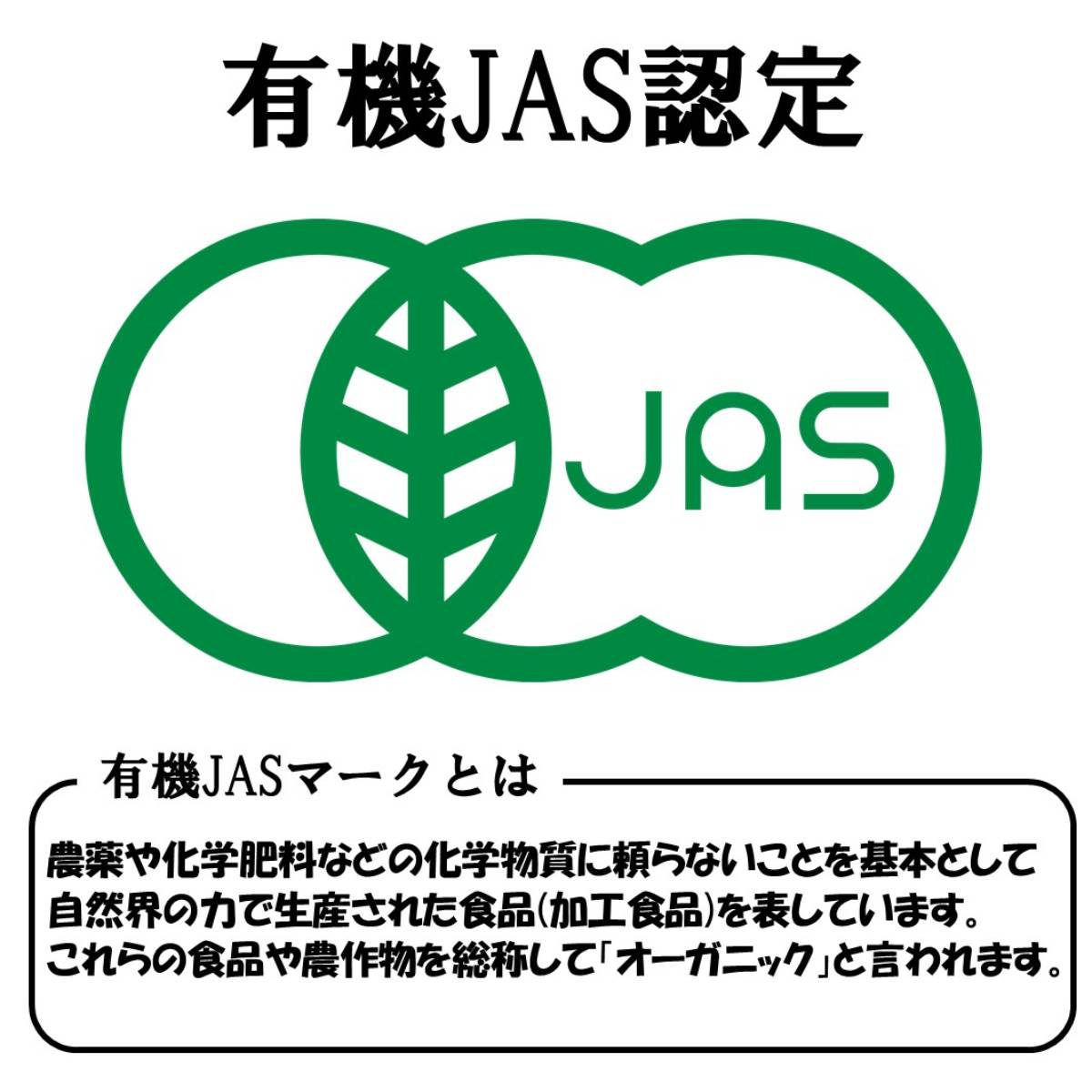 市場 訳あり オーガニック 粉末 100g スパイス 外装傷 有機JAS認定 カレーリーフパウダー