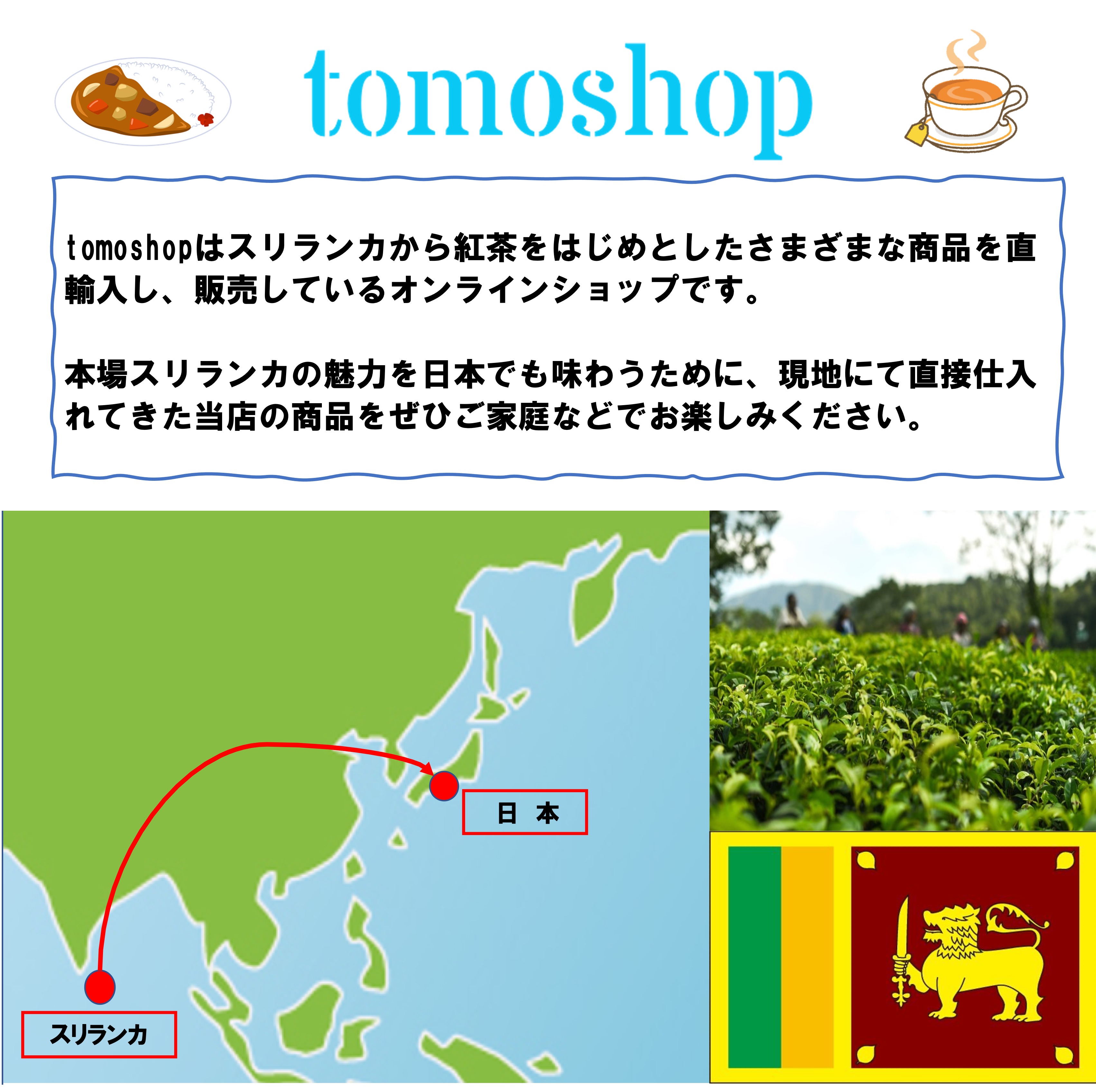 市場 訳あり セイロンティー 紅茶 ブラックティー 50袋 ティーバッグ 外装汚れ オーガニック