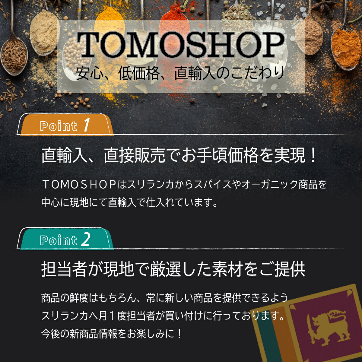 tomo様❣️専用ページ カレー粉 スリランカ カレー粉 スパイス カレーパウダー 粉末 100g
