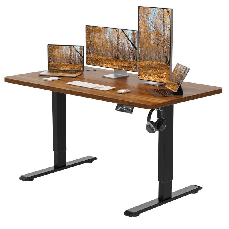 楽天市場】Anovara 昇降デスク 電動 昇降式デスク 電動昇降