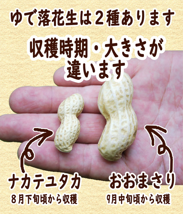 平成30年度落花生【送料込み】【栽培期間中無農薬!】ゆで落花生ナカテユタカ・3個セット・計1.5 kg【クール冷凍便】【楽ギフ_包装】【楽ギフ_のし】【楽ギフ_メッセ】 平成30年度落花生【送料込み】【栽培期間中無農薬!】ゆで落花生ナカテユタカ・3個セット・計1.5 kg【クール冷凍便】【楽ギフ_包装】【楽ギフ_のし】【楽ギフ_メッセ】