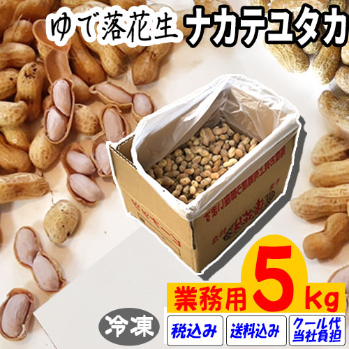 ★数量限定特別価格★送料込み・税込み【令和６年度産】【業務用】ゆで落花生・ナカテユタカ  5.0kg【クール冷凍便】千葉県産　国産