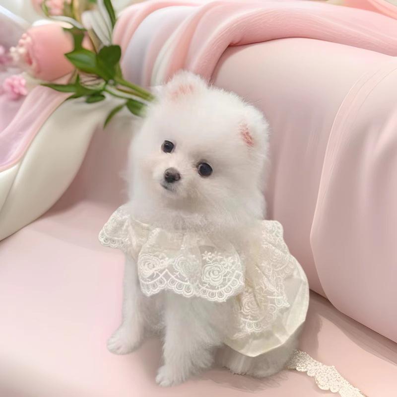 犬服 春夏 薄手 小型犬用 ワンピース ドッグウェア 浅麦色 お散歩着 かわいい スカート 抜け毛対策 ポリエステル