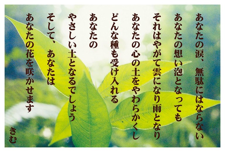 楽天市場 詩人きむ 言葉の応援ポストカード 本気の努力を 名言 格言 詩人 言葉 ことば 夢 勇気 元気 卒業 旅立ち 感謝 教員 先生 メッセージ いろはショップオンライン