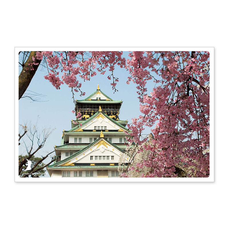 楽天市場】日本の絶景ポストカード 〜春〜 元荒川の桜並木/埼玉