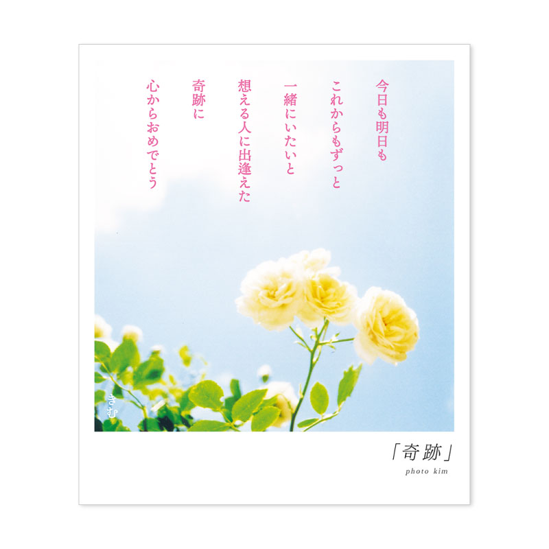 楽天市場 詩人きむ 言葉の花束ポストカード 奇跡 名言 格言 詩人 言葉 ことば 夢 勇気 元気 卒業 旅立ち 感謝 教員 先生 メッセージ いろはショップオンライン