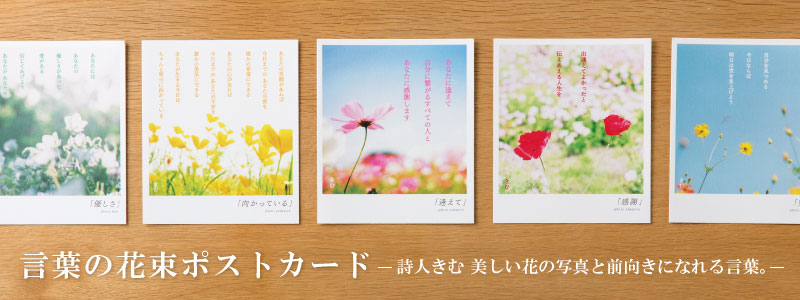 楽天市場 詩人きむ 言葉の花束ポストカード 花は咲く 名言 格言 詩人 言葉 ことば 夢 勇気 元気 卒業 旅立ち 感謝 教員 先生 メッセージ 2109ss 50off いろはショップオンライン