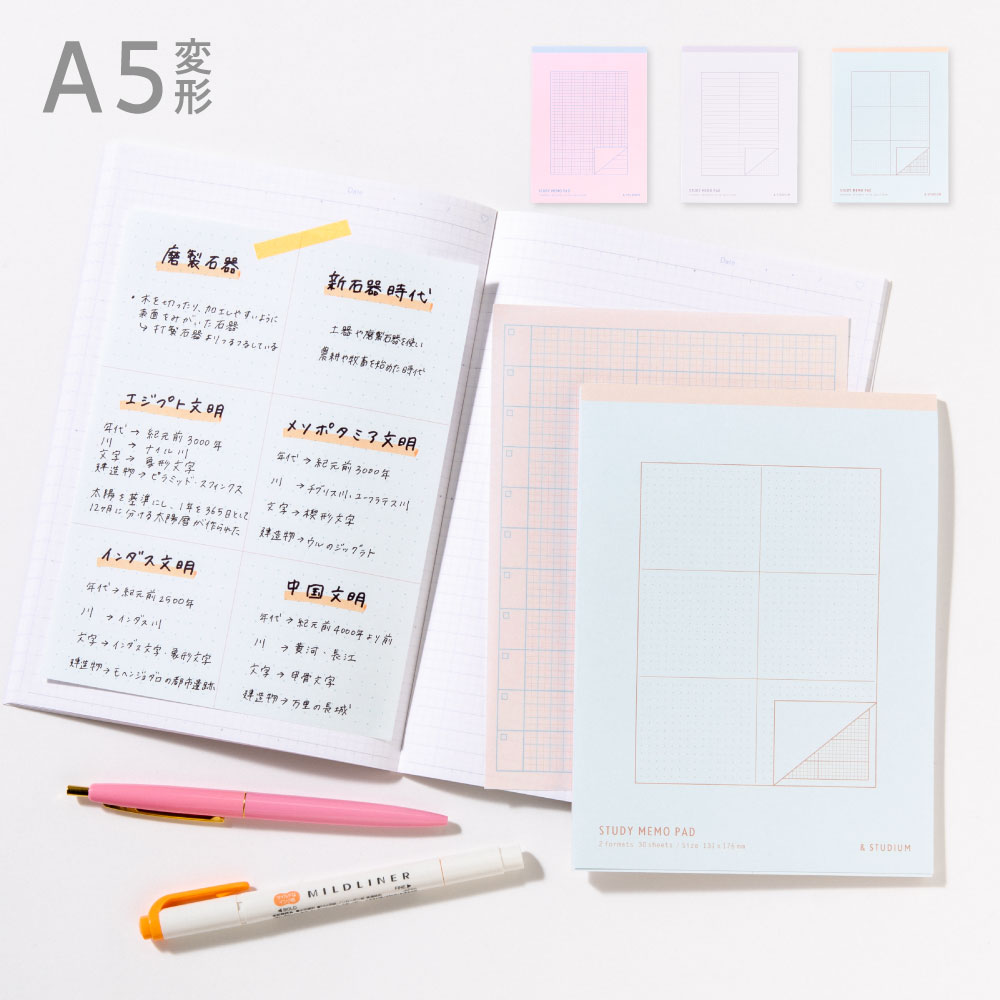 楽天市場】【11/1限定ポイント最大26倍最大400円OFFクーポン】STUDIUM SUMMARY STICKY NOTES paper 勉強  計画 受験 韓国 ステーショナリー 付箋 かわいい おしゃれ STUDY PLANNER(gsnp) : いろはショップオンライン