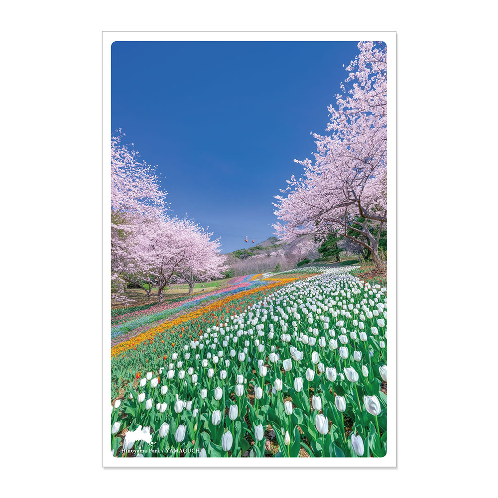 楽天市場】【最大440円OFFｸｰﾎﾟﾝ】日本の絶景ポストカード ～春～ 春の 
