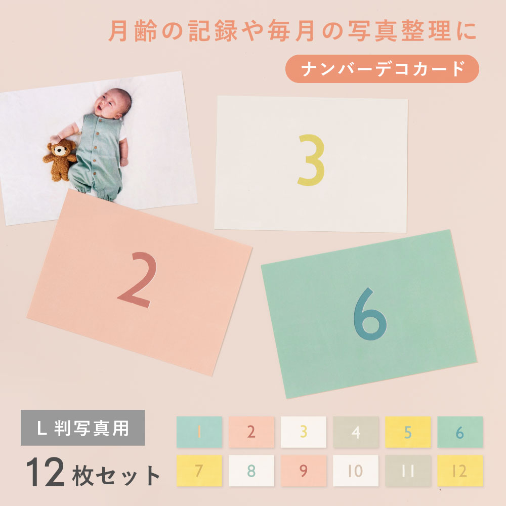 楽天市場】大容量アルバム用 ましかくアルバム 大容量 ナンバー