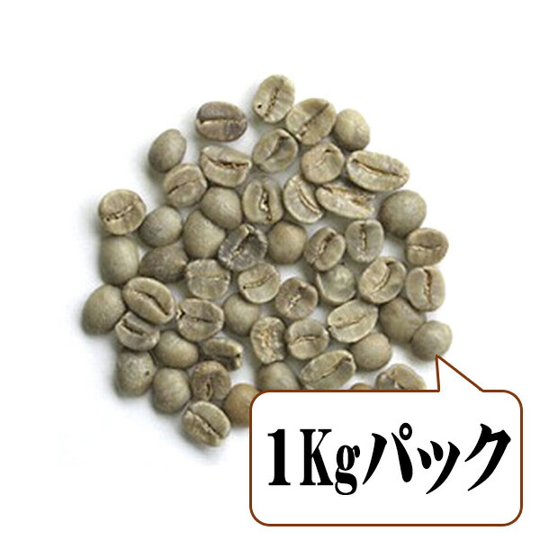 楽天市場】遠赤外線 焙煎器 いる・いる ハンドロースター 焙烙 ほう