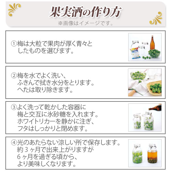 取手付密封びん3L梅酒瓶果実酒瓶セラーメイト保存容器調味料入れ星硝