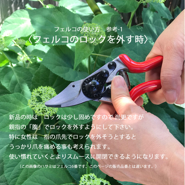 楽天市場 メール便で送料無料 日本輸入正規代理店品 Felco100 フェルコ100カット ホールド 剪定鋏 園芸用はさみ 剪定バサミ 剪定ばさみ 剪定はさみ 枝切ハサミ 庭道具屋 Toolbox 園芸用品