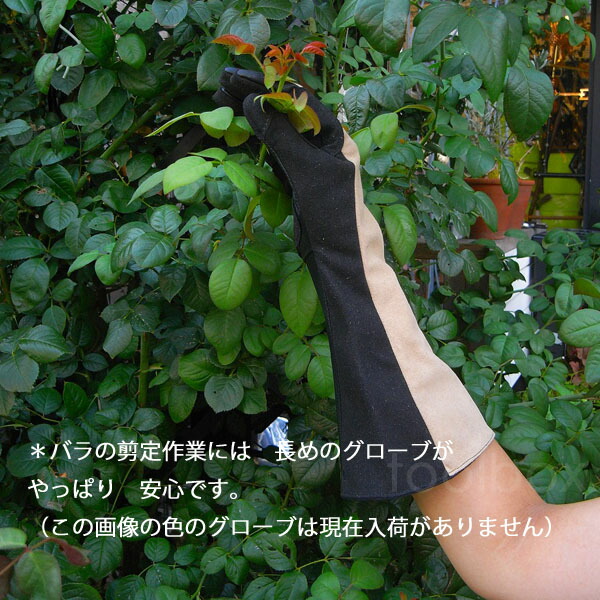 長い手袋 作業手袋 ガウントレットバラのお手入れにも 庭 ガーデン ベランダ プランター 栽培 高品質 上質 おしゃれ ガーデニンググローブ  園芸用手袋 長手袋 土いじり 農作業 作業用 手袋 ガーデニング・農業