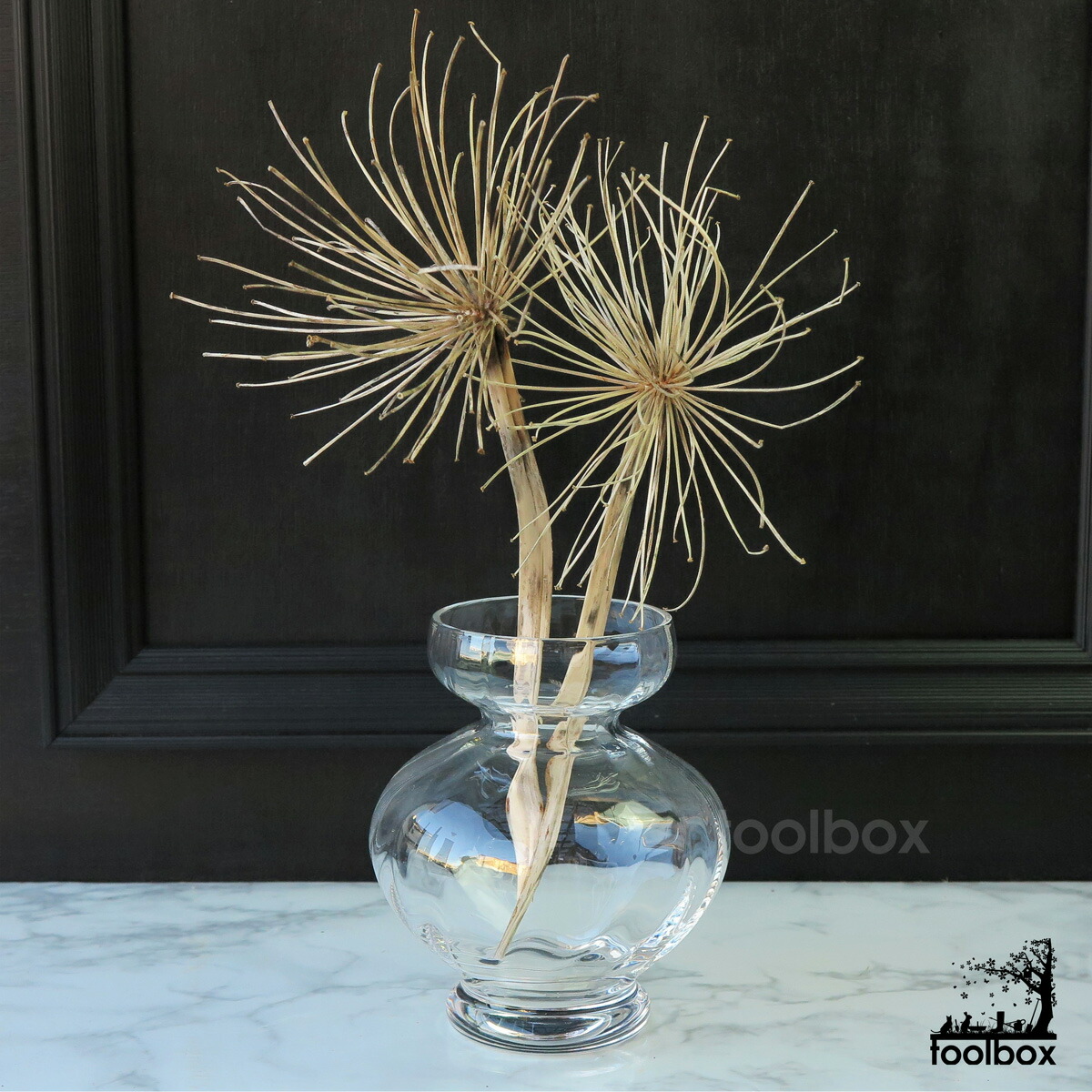 楽天市場 ガラスベース Corona 球根ベース ガラスベース フラワーベース 花瓶 ヒヤシンスベース ヒヤシンスポット 球根栽培 水栽培 おしゃれ 庭道具屋 Toolbox 園芸用品