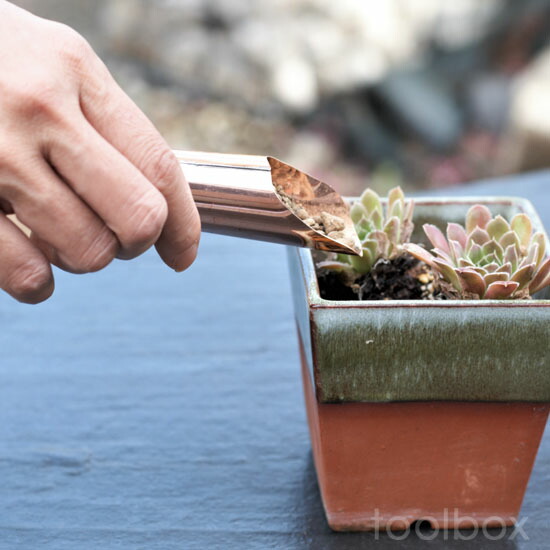 楽天市場 銅製 土入れ 土すくい Sサイズ ミニスコップ ミニ土入れ 手作り ハンドメイド 小品盆栽 ラン 多肉植物 珍奇植物 万年青 オモト 土スクイ 銅 庭道具屋 Toolbox 園芸用品