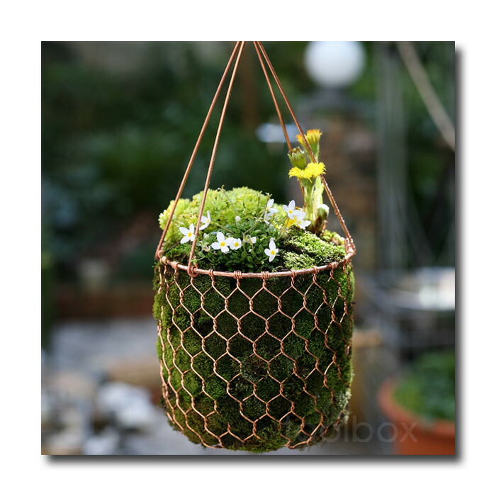 アンティーク 銅製吊り下げ鍋 約23.5cm 吊り下げポットカバーにも imgrc0067305442.jpg