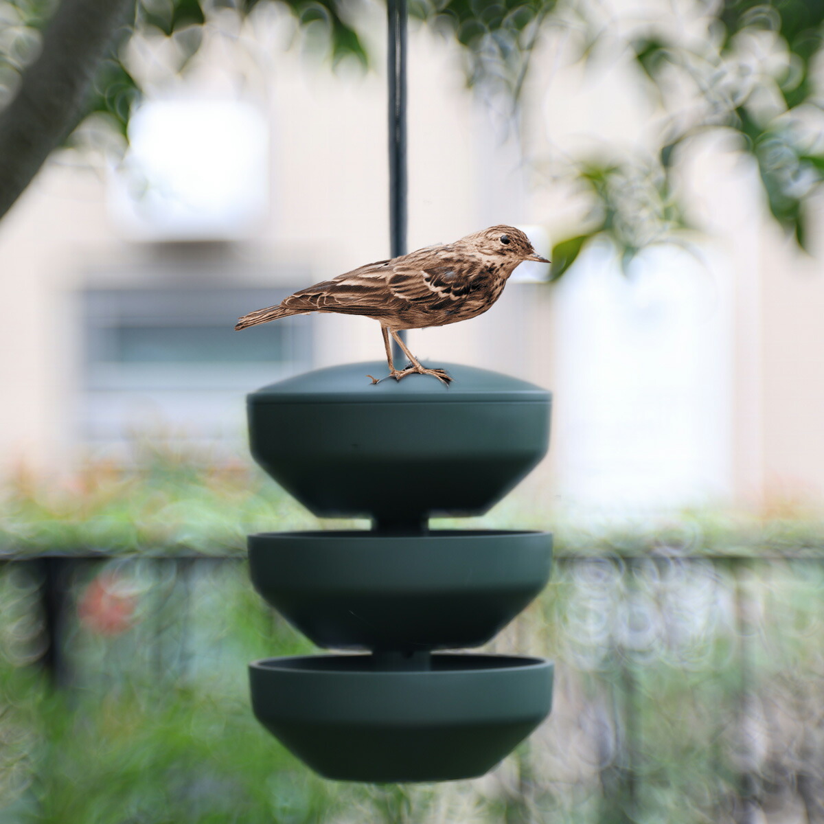 楽天市場】【京金網 銅製ハンギングバスケット L】伝統の技 亀甲網