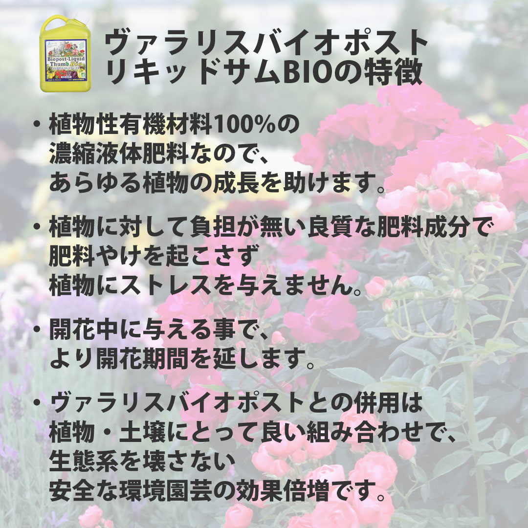 ヴァラリス バイオポスト 流動体和bio フランス共和国稼穡安上り認可肥 ローズ養う 草片栽培 皆無農薬栽培 肥料 土矯める 有機 オーガニック 園芸 ガーデニング 庭いじり 庭造り 緑 草木 植木 植え替え 土づくり プランター 鉢植え お有益 硬化 Atiko Kz