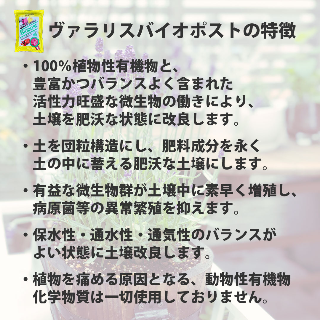 フランスから届いた 安心 安全にすべての植物を育てる 植物性有機土壌改良材 お得な5個セット 土日出荷可能 用土 肥料 園芸 ヴァラリス バイオポスト ガーデニング フランス農林省認証肥料 バラ栽培 野菜栽培 無農薬栽培 肥料 土壌改良 園芸 ガーデニング 庭いじり フランスから届いた 安心 安全にすべての植物を育てる 植物性有機土壌改良材 お得な5個セット 土日出荷可能 用土 肥料 園芸 ヴァラリス バイオポスト ガーデニング フランス農林省認証肥料 バラ栽培 野菜栽培 無農薬栽培 肥料 土壌改良 園芸 ガーデニング 庭いじり