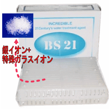 楽天市場 Bs 21 抗菌水質浄化剤 500g約6ヵ月間メンテナンスフリー クーラント等 水の臭いや藻の繁殖にお悩みの方必見 Bs21 サンソウスイ環境サイエンス ツールエクスプレス 楽天市場店