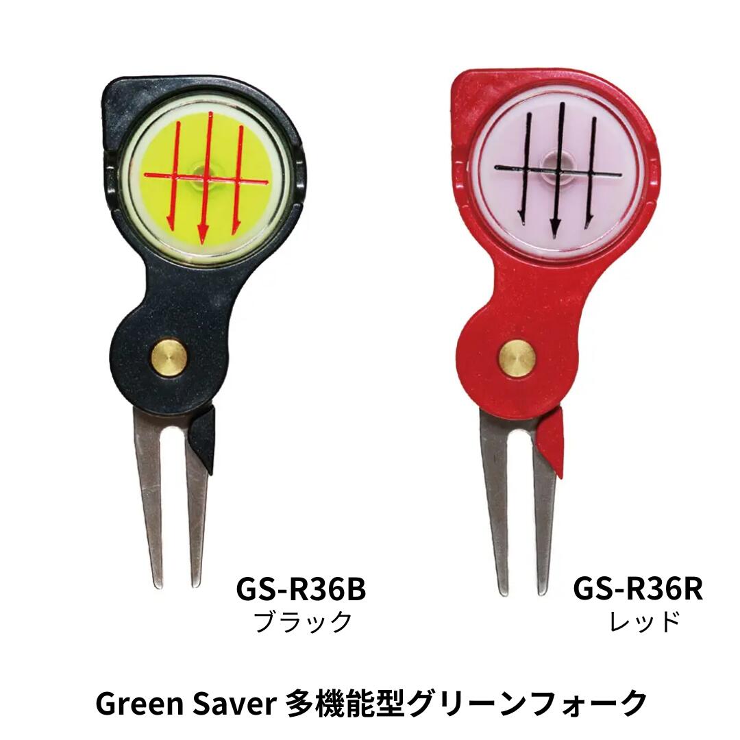 gs-r36-0.jpg