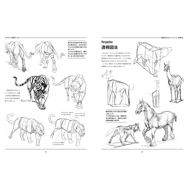 楽天市場 ウェザリーの動物デッサン コミック画材通販 Tools楽天shop