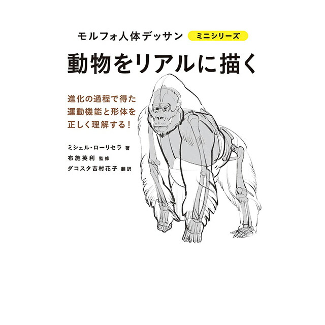 楽天市場】骨から描く モルフォ人体デッサン ミニシリーズ