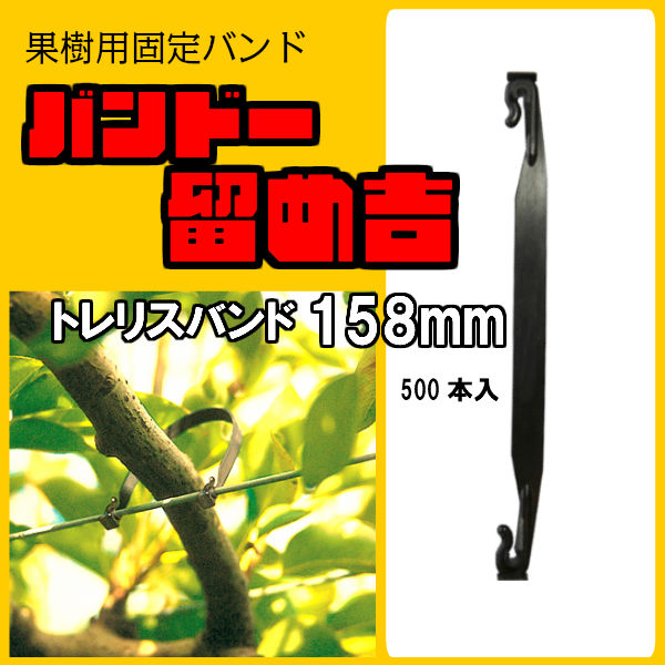 FOREDOM (フォーダム/四分子防波堤) 電動手道具
