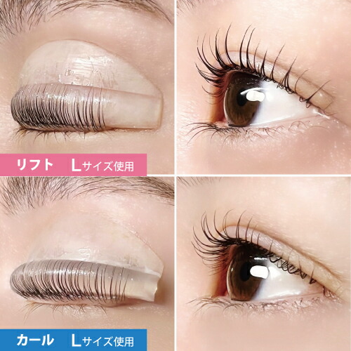ピンキーロットwセットリフト S カール L Ll M カール用 まぶたにぴったりだからしっかりカールに