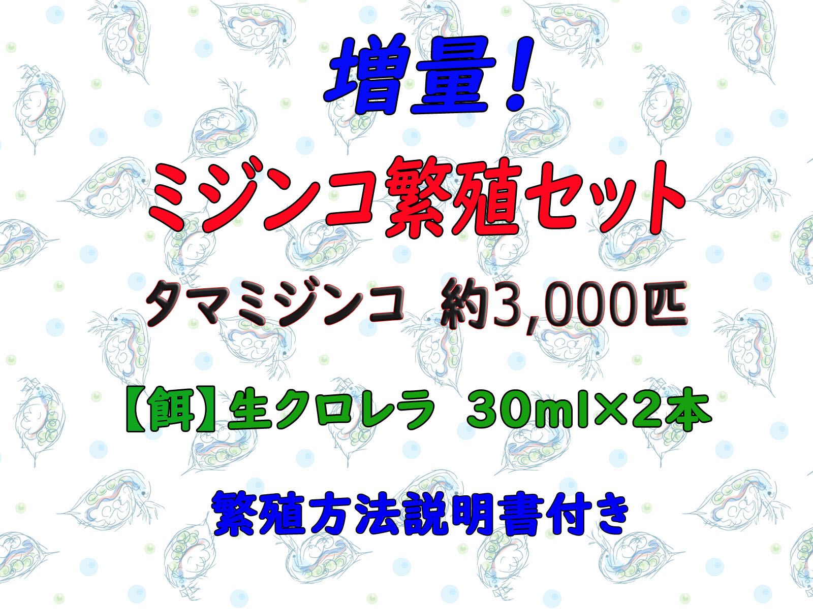 楽天市場 ミジンコ繁殖セット タマミジンコ 約3000匹 約1g スーパー生クロレラ 60ml 繁殖方法説明書付き クール宅急便 ゴールドウッド