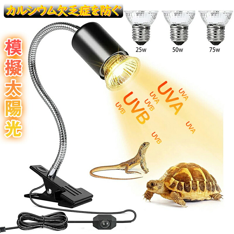 楽天市場】【全国送料無料】GEX エキゾテラ コンパクトトップ60