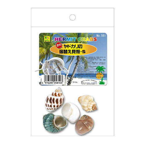 楽天市場 オカヤドカリの宿替貝殻 S 581 Sanko 三晃 サンコー トップクリエイト楽天市場店