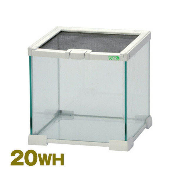 0001-00781.jpg
