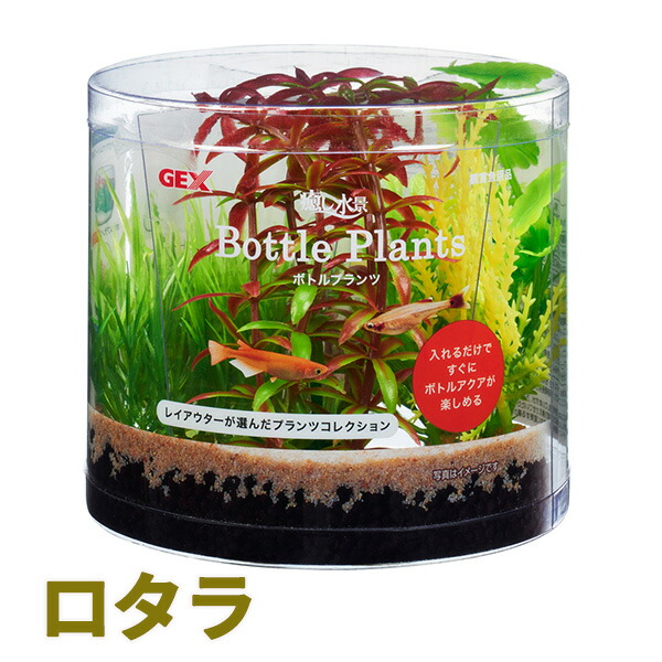 ボトルプランツ ロタラ ボトル水槽 Gex アクセサリー プランツセット ジェックス