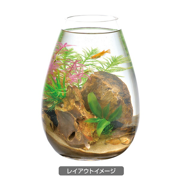 ボトルプランツ ミリオフィラム ボトル水槽 プランツセット Gex アクセサリー ジェックス