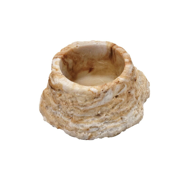 楽天市場】ウォーターディッシュ XL PT2804 GEX(ジェックス) 爬虫類