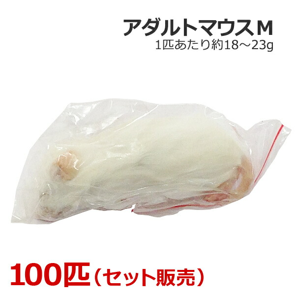 冷凍ラット 23g前後 30匹セット 冷凍ラット 23g前後 80匹セット