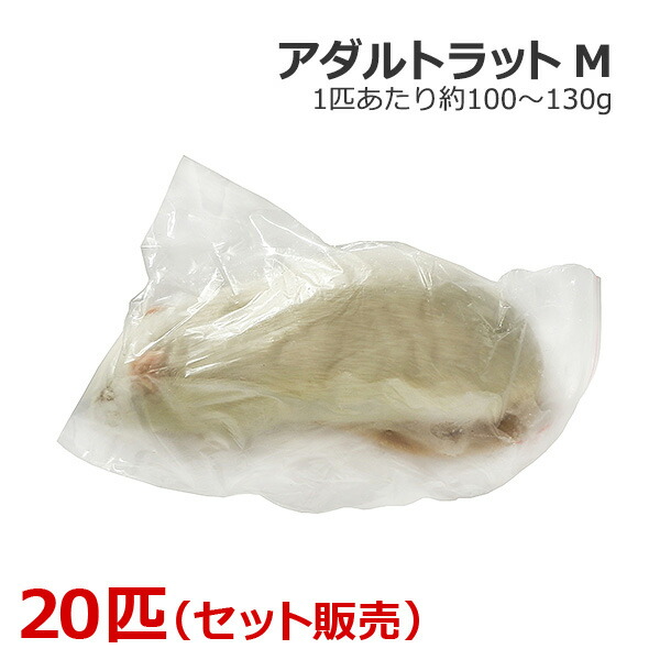 楽天市場】国産冷凍アダルトラットM @100〜120g 同梱可 即日発送