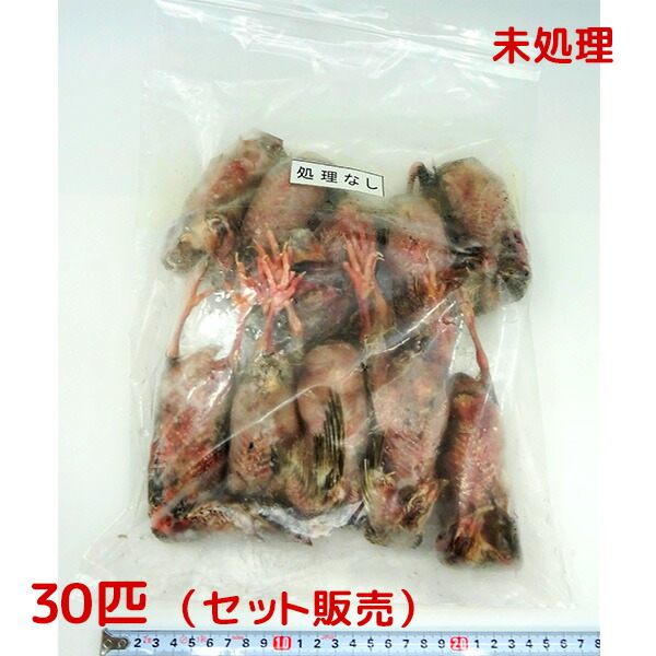 冷凍 親ウズラ 未処理 30匹 (10匹入×3P)