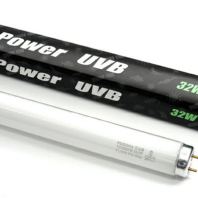 ビバリウムグロー パワーUVB 32W ポゴナ・クラブ 爬虫類 両生類 熱帯 砂漠 紫外線 UVB 蛍光灯 90cm水槽対応 トカゲ ヘビ カメ カエル レオパ