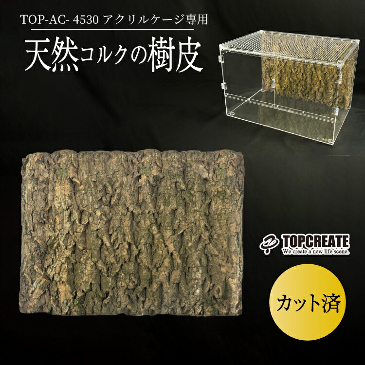 楽天市場】爬虫類 アクリルケージ用 天然コルク樹皮バックパネル