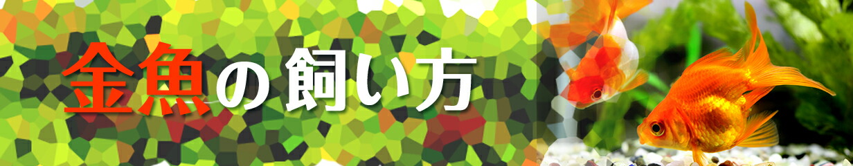 楽天市場】園芸用ヒーター サーモスタット付き TOP-150W 送料激安