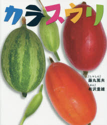 楽天市場】カラスウリ苗 5号鉢植え : 千草園芸