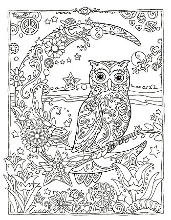 楽天市場 フクロウ塗り絵 幸せを呼ぶ マージョリー サーナット 著 マール社 大人の塗り絵 ギフト 贈り物 プレゼント ラッピング無料 店頭受取対応商品 トップカルチャーnetクラブ