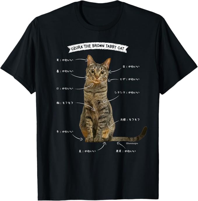 楽天市場】おもしろ 猫好き 猫飼い 猫 ネコ ねこ 黒猫 くろねこ