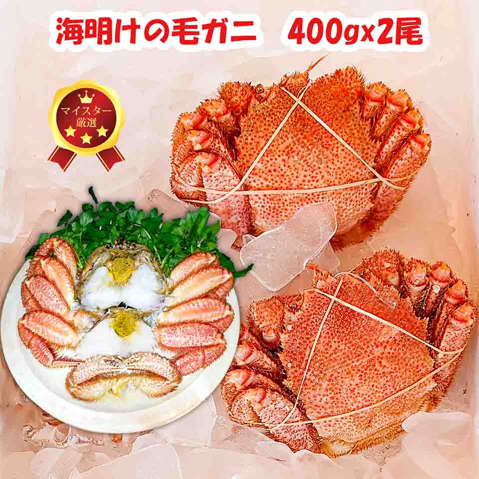 Sale 最大2000円クーポン+P47倍 北海道 毛蟹 800g(400gx2) 【マイスター認定商品】海明けの毛ガニ ギフト 贈物 稚内産 浜頓別産 枝幸産 紋別産 濃厚カニみそ 甘みのある味が特徴 送料無料 沖縄・離島へは追加料金有り