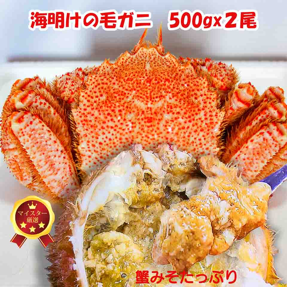 最大2000円off P49倍 3月30日限定 P10倍 北海道 毛蟹 1kg(500gx2) 【マイスター認定商品】海明けの毛ガニ ギフト 贈物 稚内産 浜頓別産 枝幸産 紋別産 オホーツク産ブランド毛ガニ 濃厚カニみそ 甘みのある味が特徴 送料無料 沖縄・離島へは追加料金有り