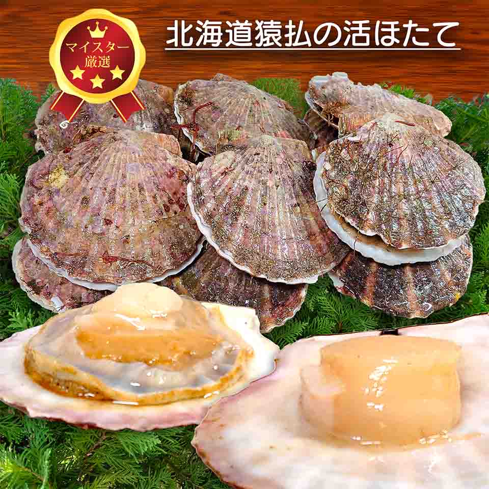 Sale 最高2000円off ポイント最大47倍 【マイスター認証】ほたて ホタテ 北海道 猿払産 活ほたて15枚（殻付）3.7kg前後 獲れたその日に発送 貝柱が固い 泳ぐほたて 刺身 バター焼き 天ぷら フライ ばらまき自然貝<br>沖縄・離島への配達は不可<br>日時指定不可